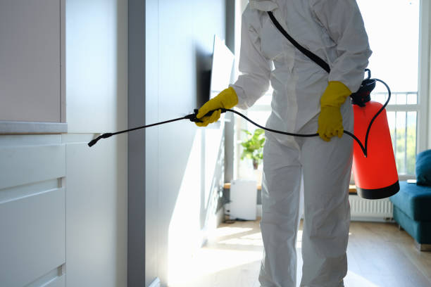 Best Asbestos and Lead Testing During Mold Inspection  in Savage, MD